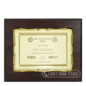 Bảng vinh danh đồng mạ vàng, KT: 23x30cm - GTP-BVD2204