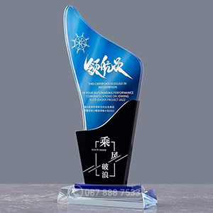 Kỷ niệm chương pha lê - KNC-105 